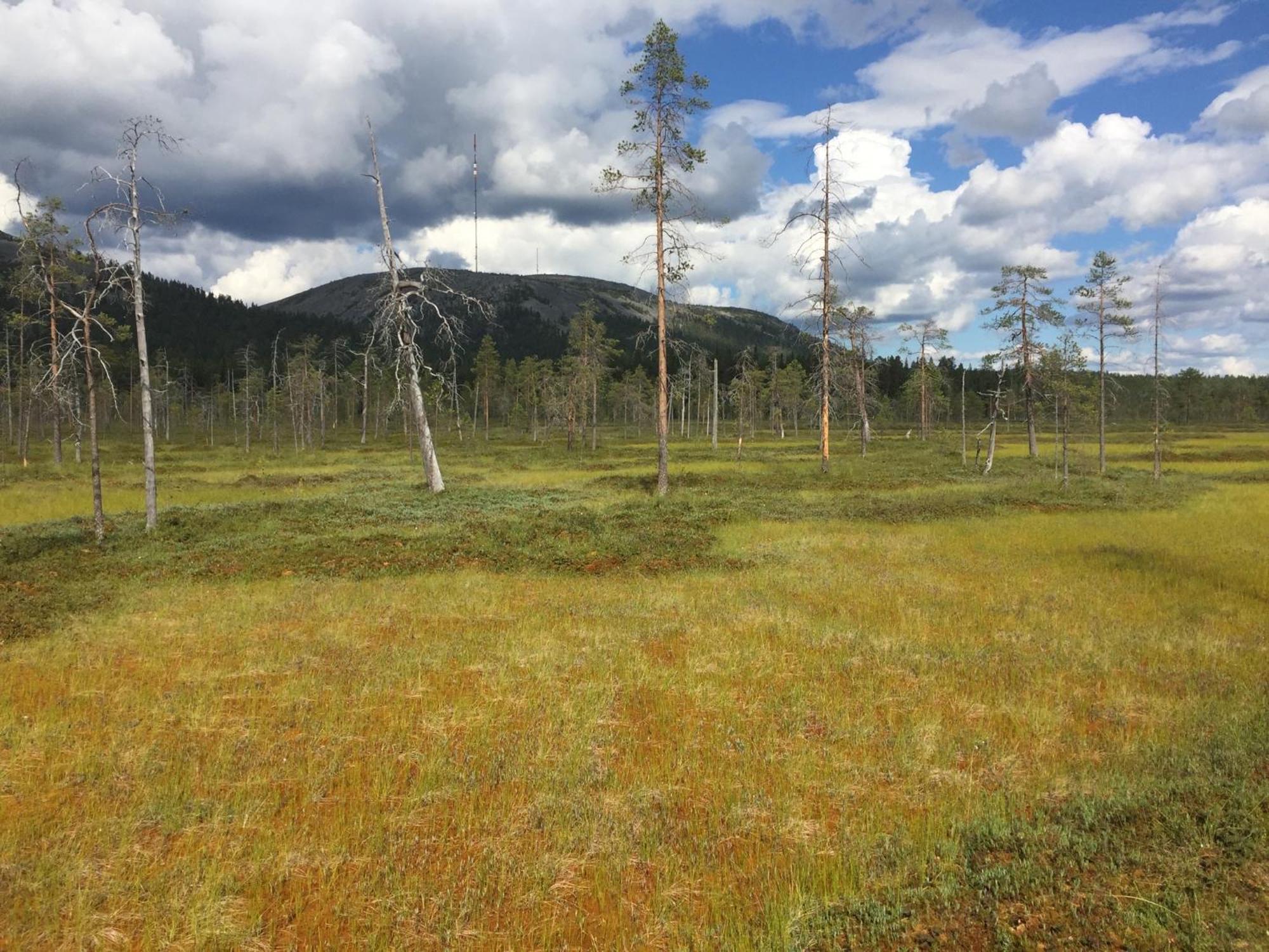 Ankkalinna Pyhätunturi Exterior foto